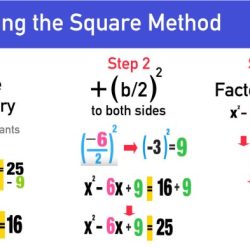 Lesson 1 the squariest square answer key