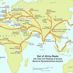 Unfinished migrations reflections on the african diaspora