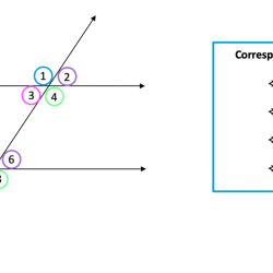 Quiz 3 1 parallel lines transversals and angles