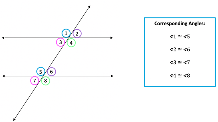 Quiz 3 1 parallel lines transversals and angles