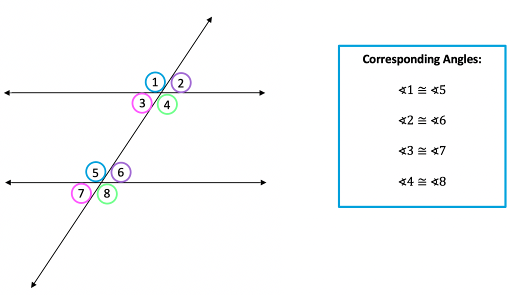 Quiz 3 1 parallel lines transversals and angles